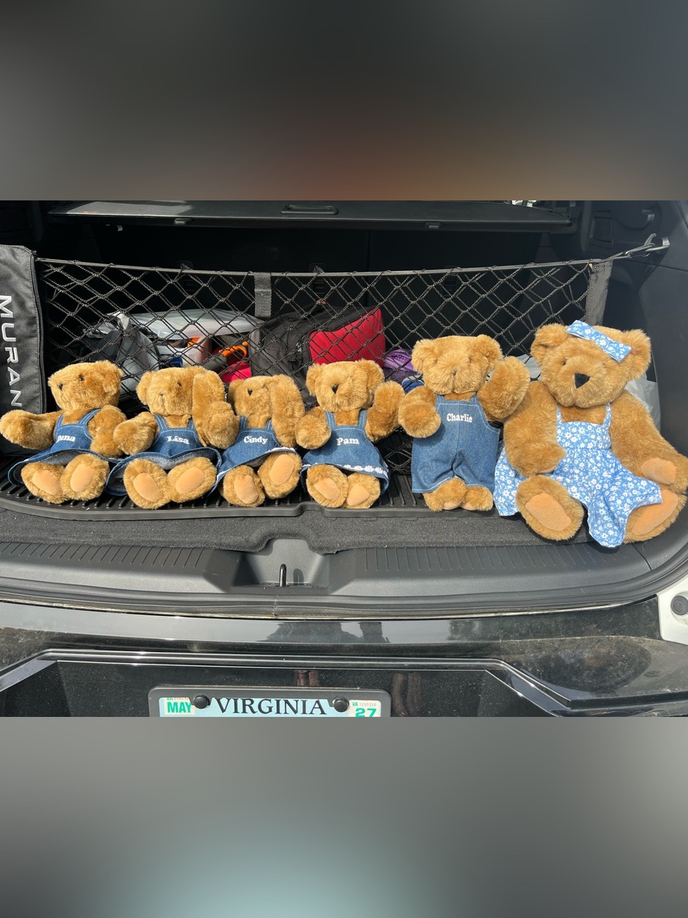 Personalized Brown Plush Teddy Bear Collection in Blue Outfits